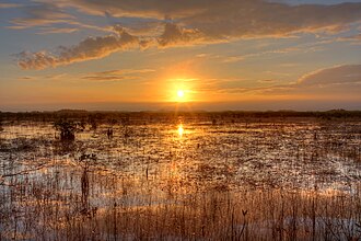Everglades