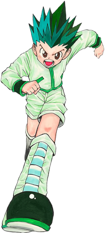 Gon Freecss
