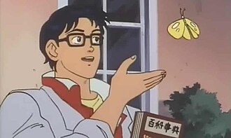 Is This a Pigeon?