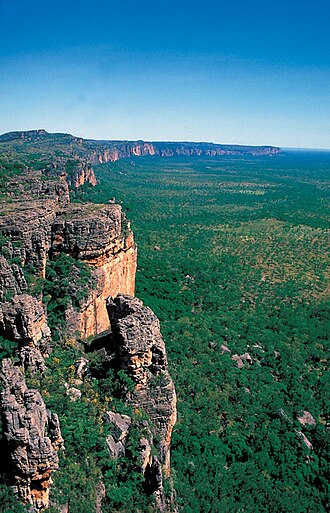 Kakadu