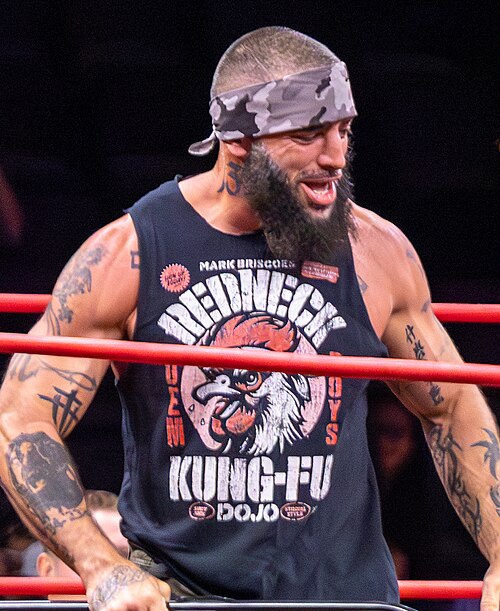 Mark Briscoe