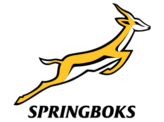 South Africa Springboks