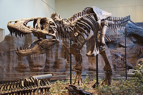 T-Rex